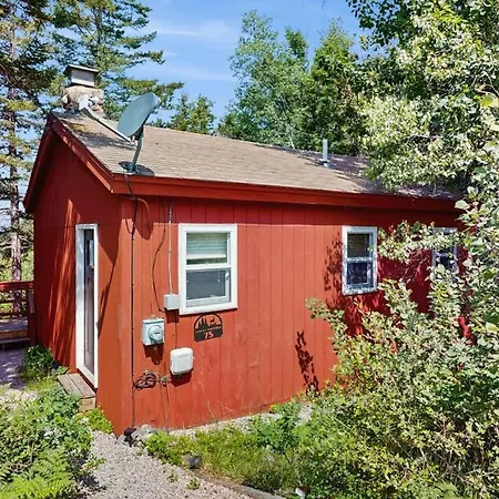 Secluded Sunset Point Mountain Top Cabin, Wifi, Dish Tv, Firepit-3